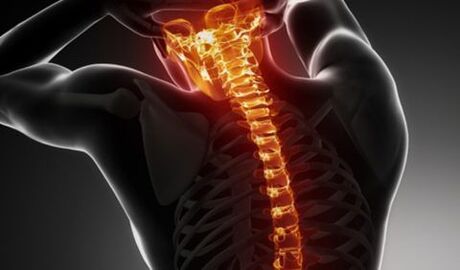 Fiber of the whole spine